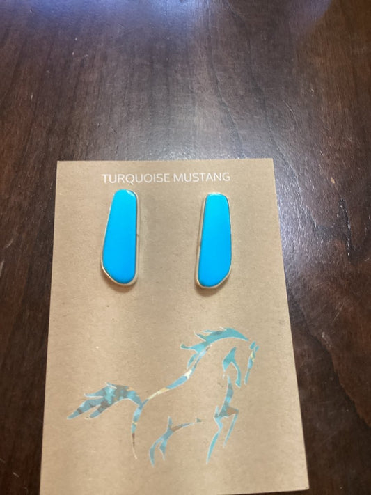 Earring, Kingman freeform shaped posts, Vincent Begay - Turquoise Mustang
