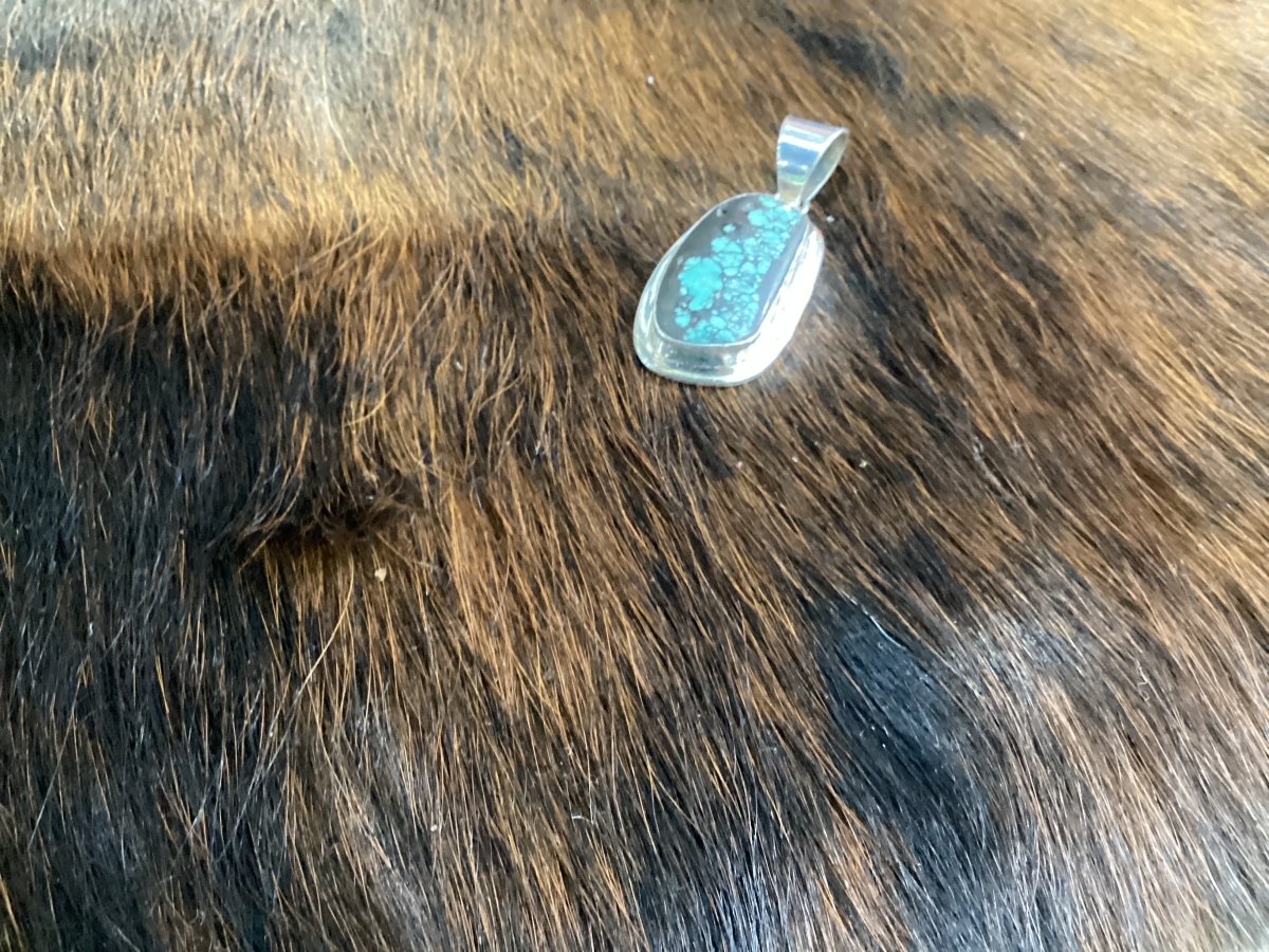 Polychrome Cloud Mountain Turquoise Freeform Pendant by Darryl Becenti - Turquoise Mustang