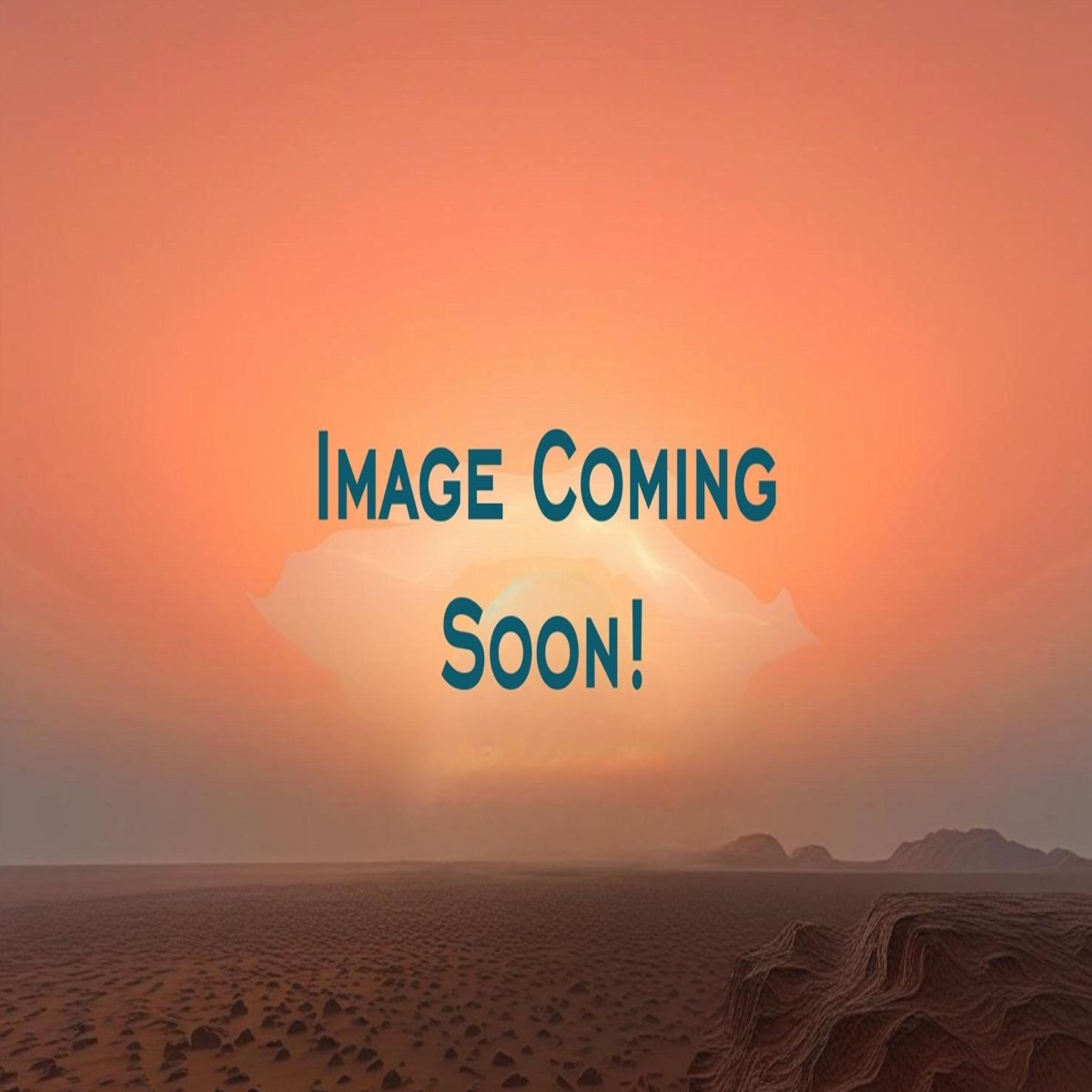 Ring, All Silver with PEyote Button center, Repousse and Rope accents, Albert Jake - Turquoise Mustang